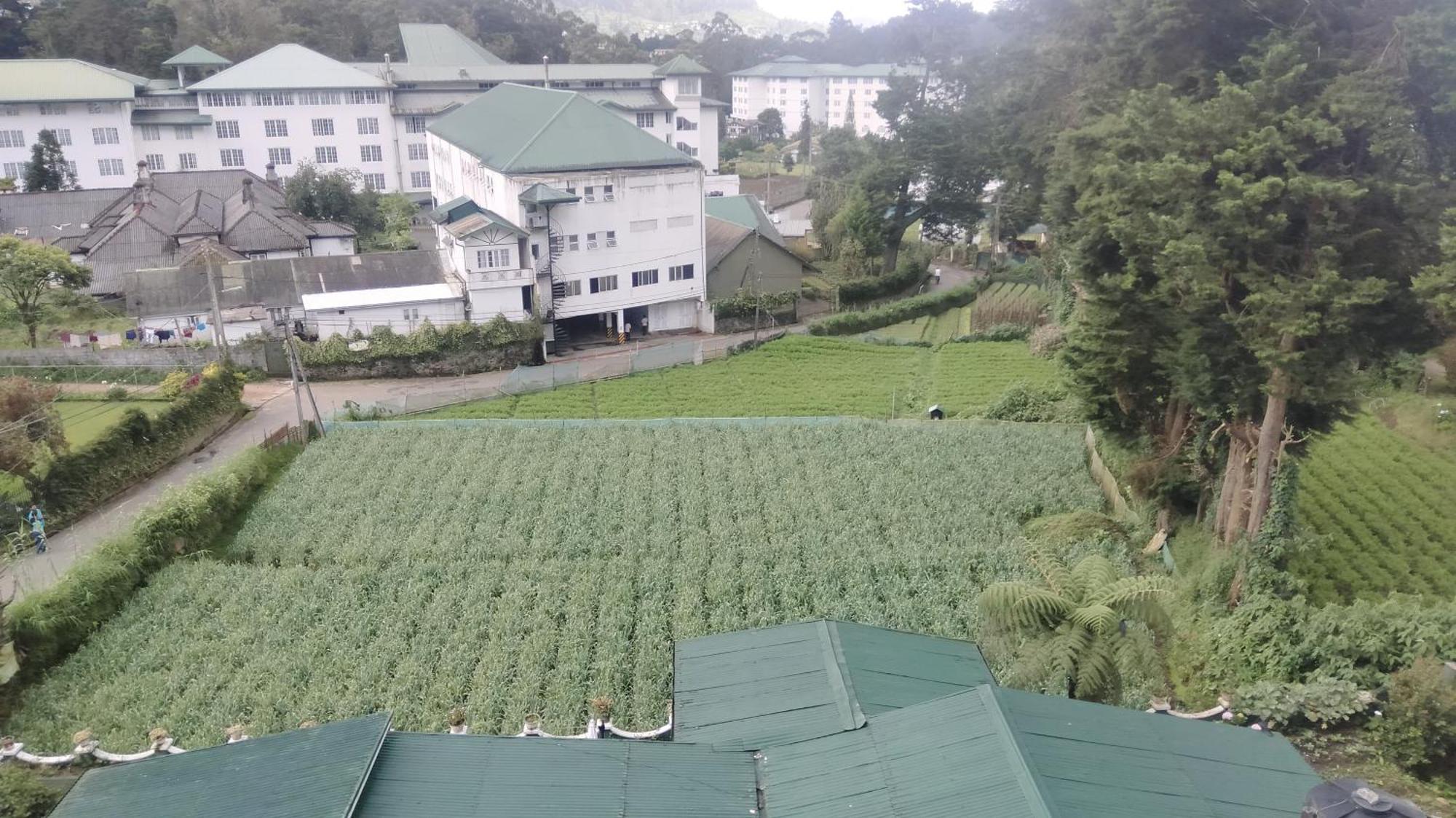Nuwara Eliya Luxury Apartment Kültér fotó